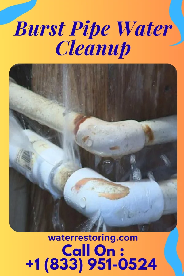 Burst Pipe Water Cleanup in Regan, ND